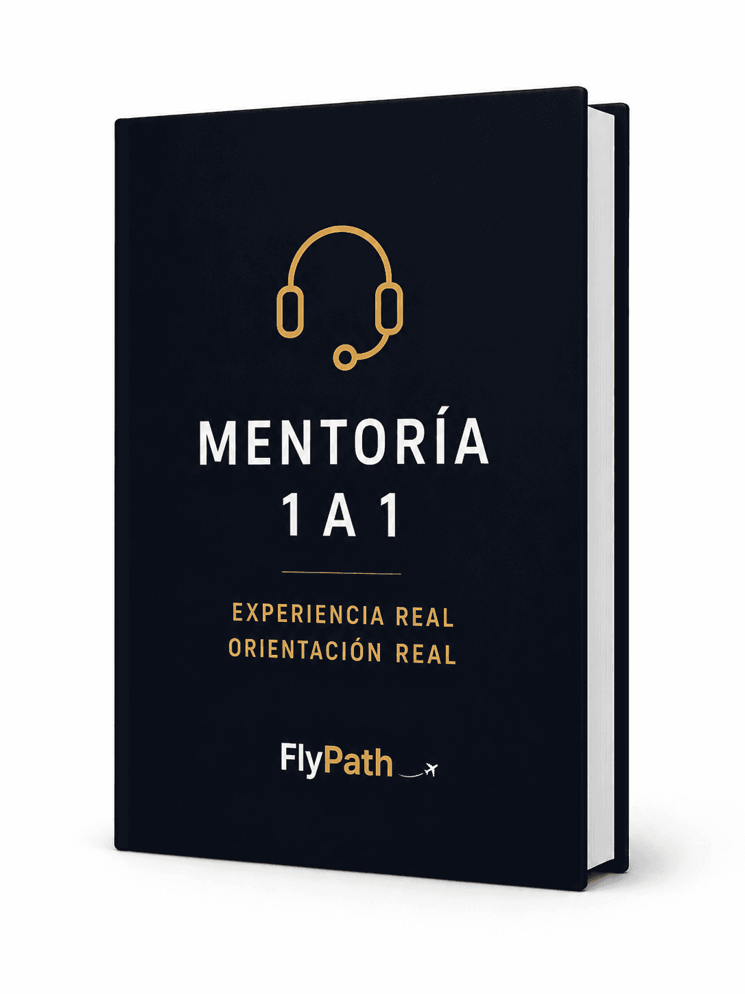 Mockup de sesión de mentoría 1 a 1 con un piloto